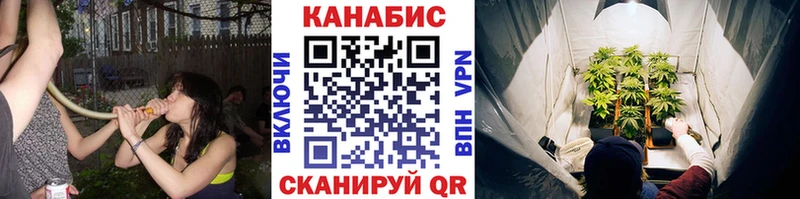 где купить наркоту Мосальск shop состав Конопля ГИДРОПОН
